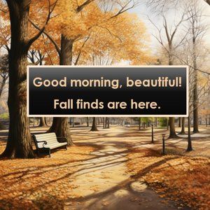 Hello, Beautiful! Fall finds are here.